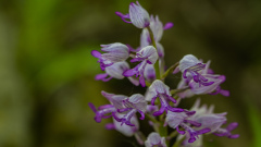 Foto-AG-Liliental-Mai-22-LR-3