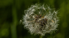 Foto-AG-Liliental-Mai-22-LR-4
