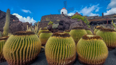 Lanzerote-Eine-besondere-Insel-9