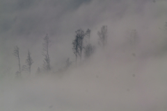 Weihnachtsfeiertag-Belchen-11