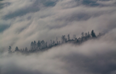 Weihnachtsfeiertag-Belchen-9