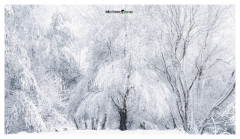 Winter-in-Grissheim
