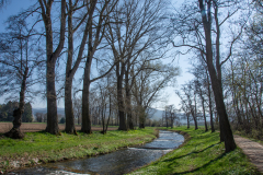 Bad-Krozingen-Staufen-023