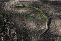 Freiburg-mit-Wonhalde-001