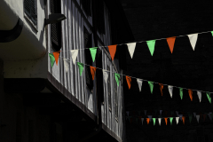 DSC_4981-min-Copie