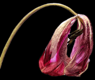 WhatsApp-Image-2026-04-07-at-10.49.36