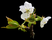 WhatsApp-Image-2026-04-07-at-10.49.40-2