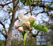 WhatsApp-Image-2026-04-07-at-10.49.41-4