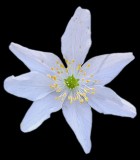 WhatsApp-Image-2026-04-07-at-10.49.41-7