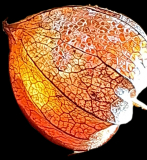 WhatsApp-Bild-2025-11-03-um-16.54.40_1d59e9e7