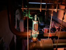 Ganter-36