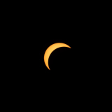 D78_0769