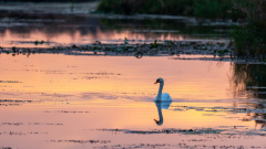 18-D78_5511-Abendstimmung