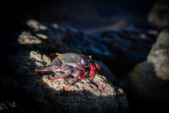 11-Z63_5273-Bearbeitet