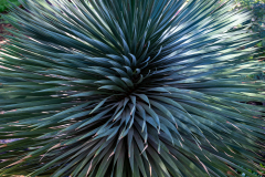 15-Z63_5319