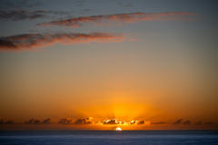 17-Z63_5328