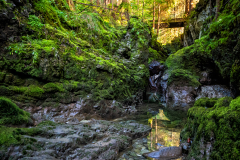 08-ruhiger-Wildbach