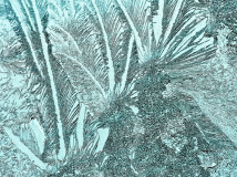 Eisblumen-12
