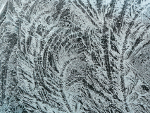 Eisblumen-2
