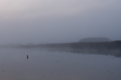 01Herbstliche_Morgendaemmerung_Federsee