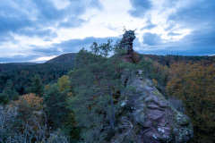 02-Pfaelzer-Wald-Abend