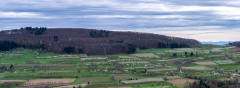 01-31.03.2024-Panorama