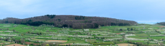 03-06.04.24-Kirschbluete-Panorama