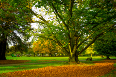 02-Herbst-im-Kurgarten