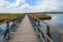 Am_Federsee_01