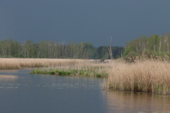 Am_Federsee_02