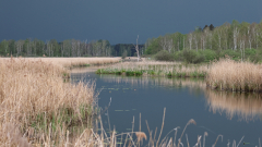 Am_Federsee_03
