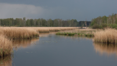 Am_Federsee_04