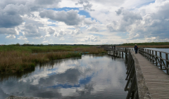 Am_Federsee_05
