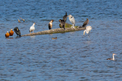 und-alle-vertragen-sich