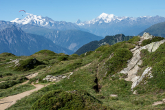Aletsch-Gletscher-2025-034