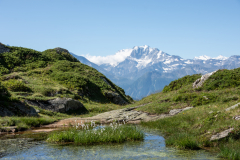 Aletsch-Gletscher-2025-039