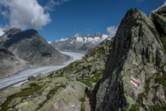 Aletsch-Gletscher-2025-058