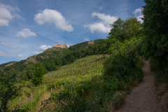 ´Ribeauvile-u-Saint-Ulrich-2025-023