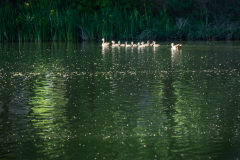 Tuebingen-2026-056