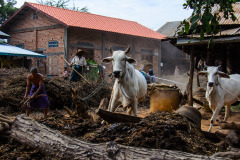 12_Dorf-nahe-Bagan_Myanmar