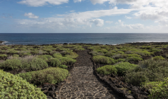 gruenes_lanzarote_