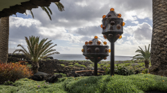 jameos_del_agua_II