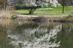 Gruettpark-b
