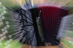 WB-Harmonien-aus-der-Bugari_7R38976