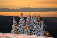 001_Feldberg_Sunrise_Raoul-Hartmann