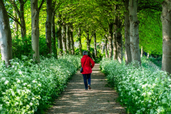 Allee-Brouwershaven_02848_A-7R-III