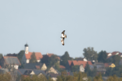 Z63_8879-Bearbeitet