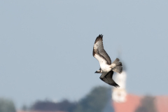 Z63_8880-Bearbeitet