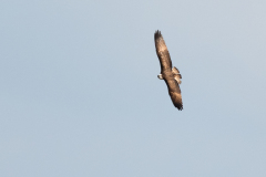 Z63_8884-Bearbeitet