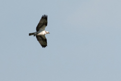 Z63_8892-Bearbeitet